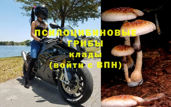 не бодяженный Абдулино