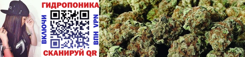 купить наркоту  гидра онион  Каннабис SATIVA & INDICA  Зарайск 